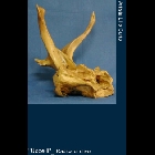 80 a.jpg
